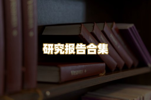 研究报告合集